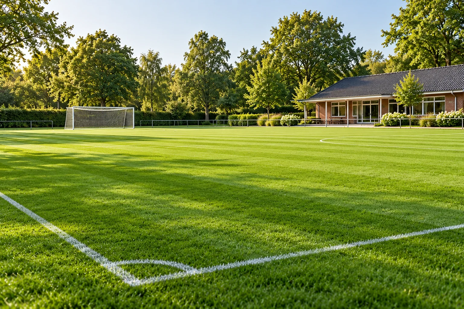Sportplatzpflege für einen gepflegten Garten